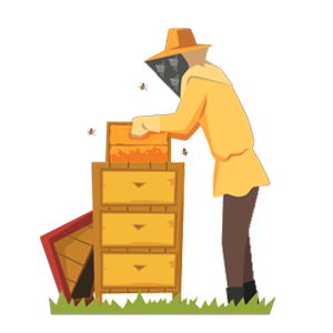 Лук